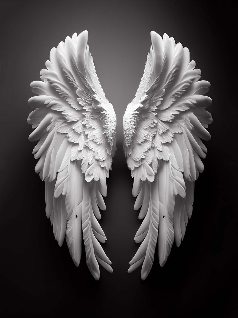 tableau-ailes-ange.jpg